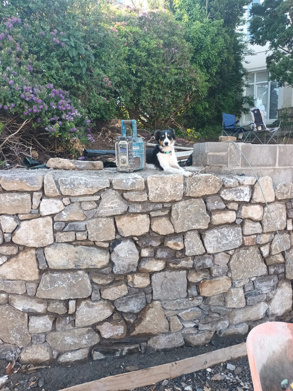 a stone wall with a dog